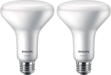 Philips SceneSwitch Floodlight LED